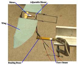Fig. 3: Flapping-wing test in open-jet wind tunnel